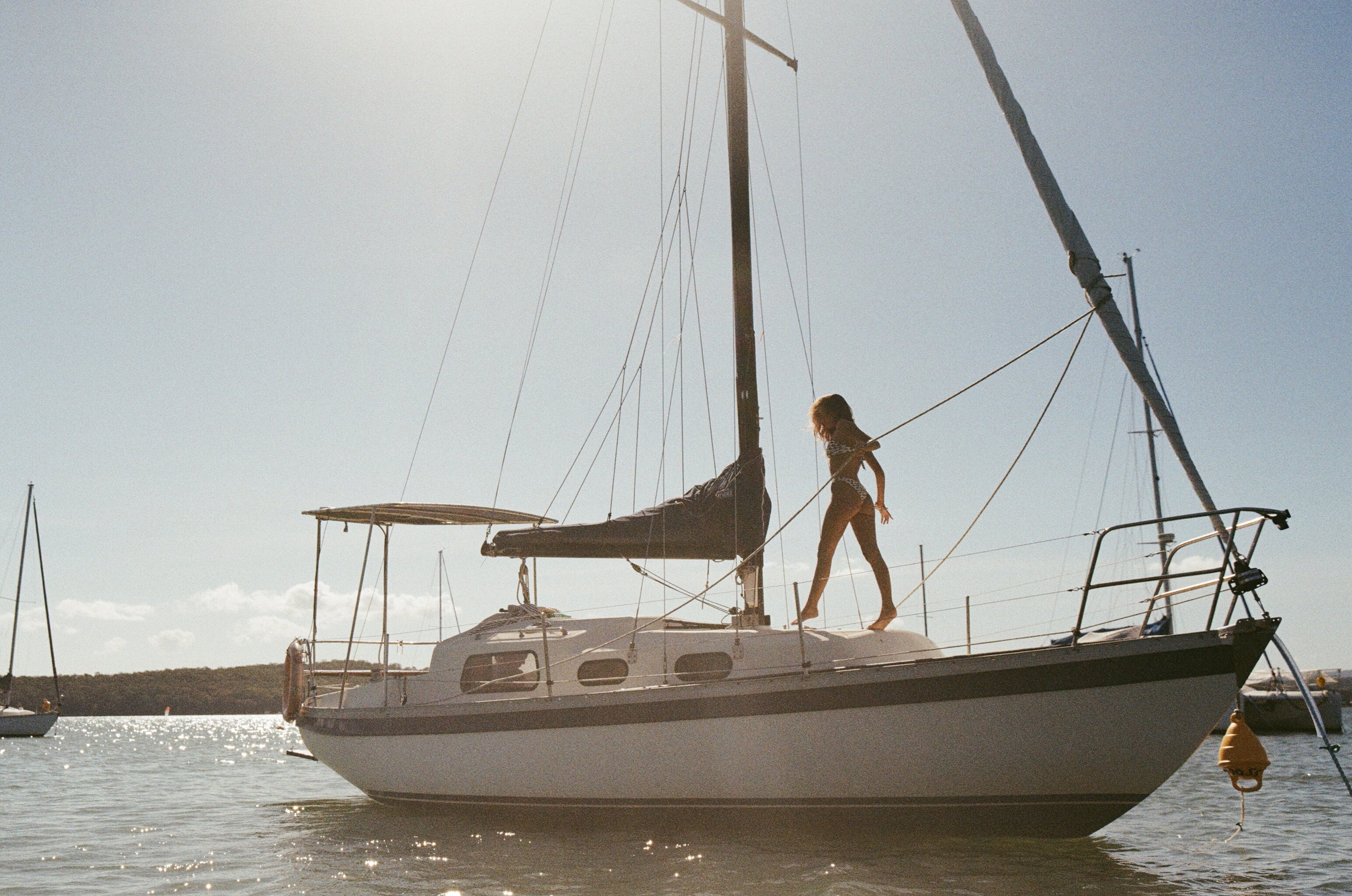 Three Leopold Gift Card